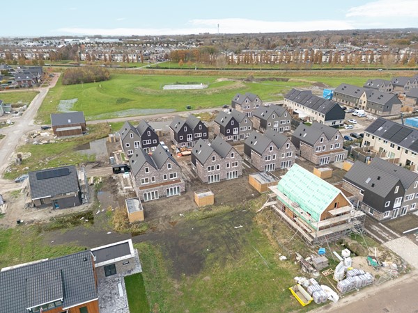 51-Moerasorchidee 29 - Lelystad.JPG